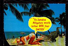 Us Jamaica Alligators.....Comic Postcard 