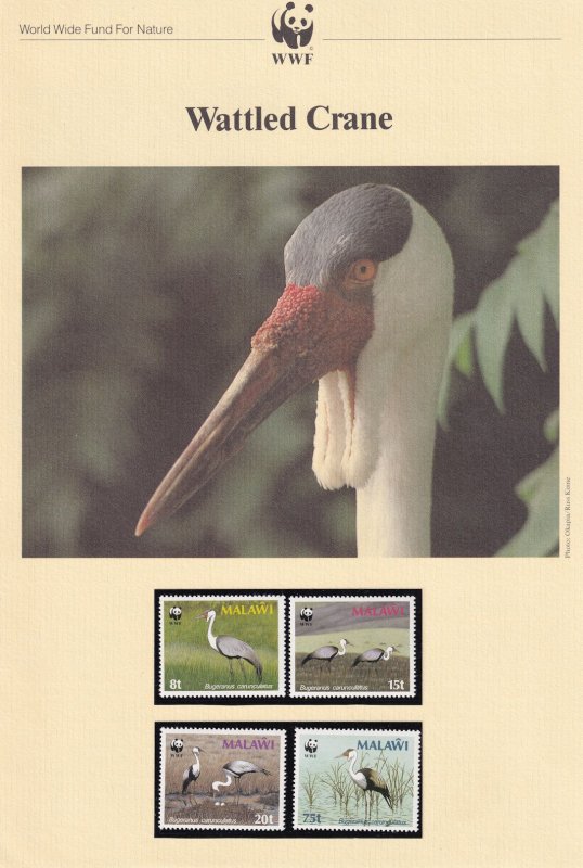 Wattled Cranes Malawi Birds WWF Stamps and Set Of 4 First Day Cover Bundle