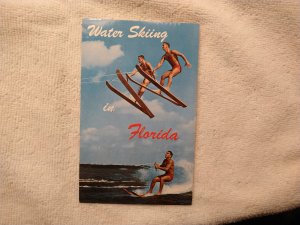 1960's Water Skiing in Florida Chrome Postcard