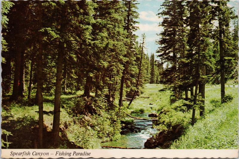 Spearfish Canyon Black Hills SD South Dakota c1976 Vintage Postcard D55