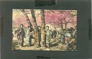JAPAN BEAUTIFUL LADY PEOPLE TREE PINK FLOWER SHADOW POSTC...