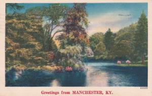 Kentucky Greetings From Manchester 1954