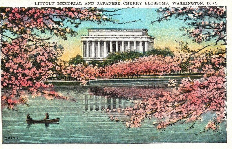 Vintage Postcard 1920's Lincoln Memorial Japanese Cherry Blossoms Washington DC