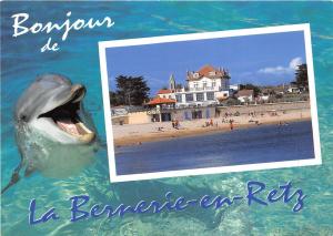 BF38814 la bernerie en retz  dauphin dolphin animal animaux