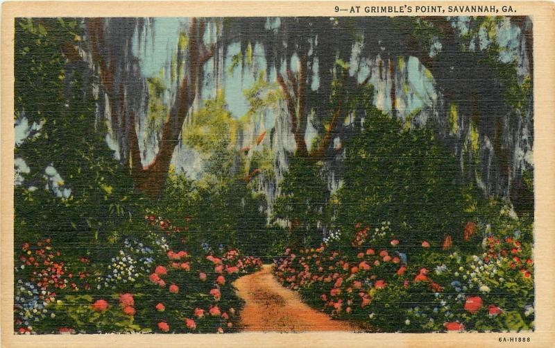 Savannah Georgia GA Grimble's Point Forest City Postcard