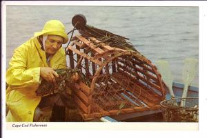 Fisherman, Lobster, Cape Cod, Massachusetts, 