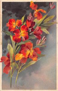 Greetings Orange Flowers Signed Klein Antique Postcard J52494