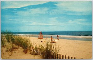 Ocean City Maryland's Guarded Clean Sandy Beaches American Famous Postcard