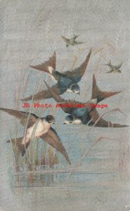 Blue Birds Flying over Water, 1909 Elgin Nebraska Postmark