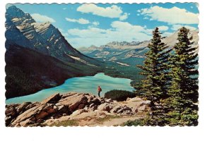 Peyto Lake, Columbia Ice Fields, British Columbia, Used 1969