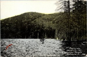 Vtg 1910s Eagle Lake Lassen County California CA Postcard