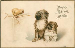 Vintage 1917 Easter greetings postcard dogs puppies & chick fantasy