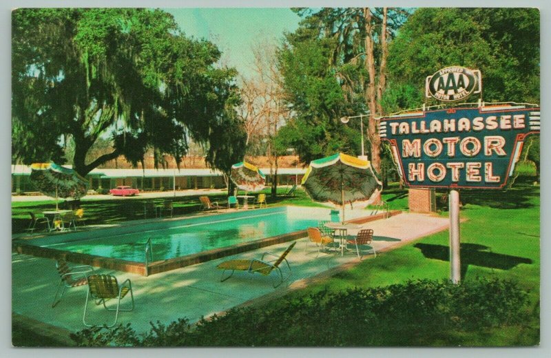 Tallahassee Florida~Tallahassee Motor Hotel~Neon Sign~50s Car~Pool~1960s