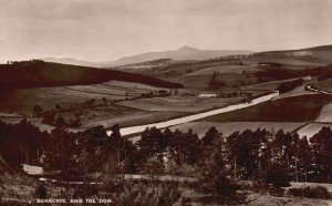 Vintage Postcard Bennachie And The Don Forestry Land Park Trails Scotland RPPC