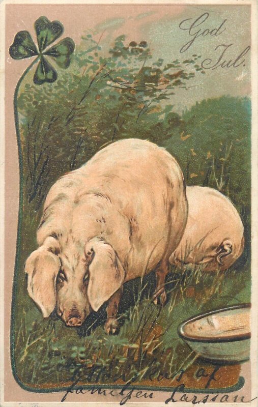 Sweden  God Jul  very embossed New Year drawn luck pigs greetings old postcard 