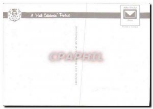 Modern Postcard The Abbey Arbroath