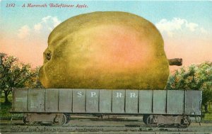 Bellflower Apple C-1910 Farm Agriculture Mitchell Exaggeration Postcard 20-7262