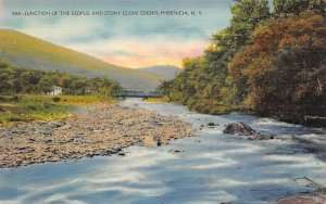 Esopus and Stony Clove Creeks Phoenicia, New York