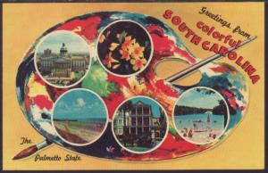  Greetings From South Carolina Postcard