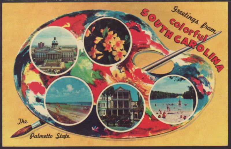  Greetings From South Carolina Postcard