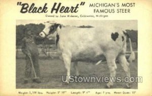 Black Heart, John Widener in Coldwater, Michigan