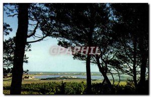 Postcard Modern Tourist Layouts Du Littoral Languedoc Roussillon Resort Du Ca...