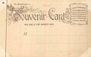 ON THE ST. JOHNS RIVER FLORIDA PELICANS POSTCARD (1898)