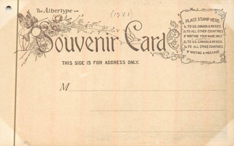 ON THE ST. JOHNS RIVER FLORIDA PELICANS POSTCARD (1898)