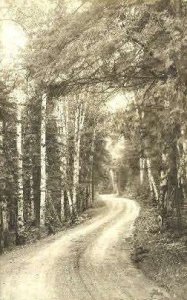 Real Photo - Birch Road - Jackman, Maine ME  