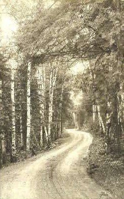 Real Photo - Birch Road in Jackman, Maine