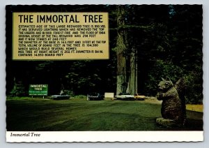 The Immortal Tree at Redcrest California Classic Cars 4x6 Postcard 1746