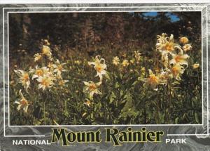 Washington Mount Rainier National Park Wild Flowers 1997