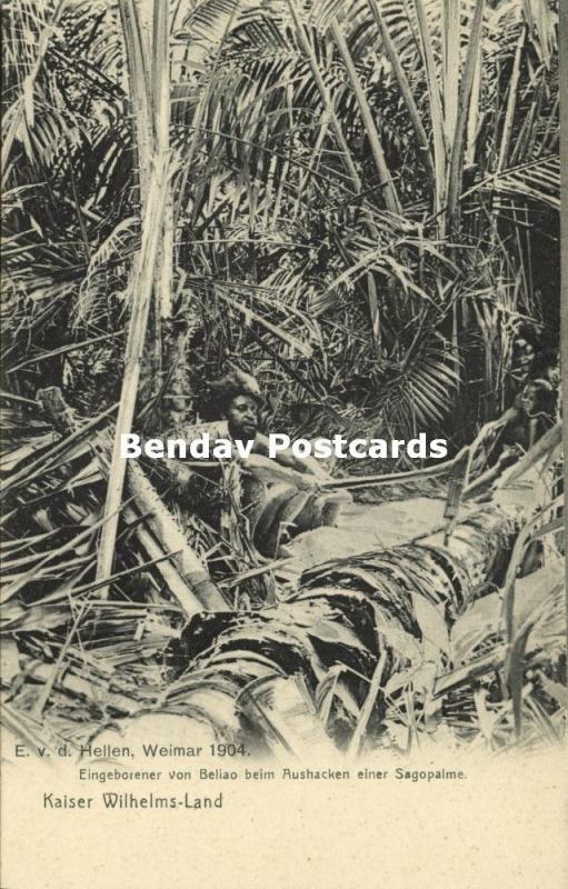 german new guinea, Kaiser-Wilhelmsland, Beliao Papua chopping Sago Palm (1904)