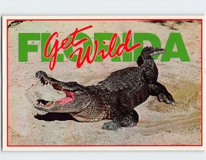 Postcard Get Wild, Florida