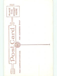 Divided-Back PATRIOTIC SCENE Great Postcard AB0281