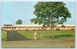 LAMBETH, Ontario Canada ~ STAR MOTEL ca 1960s Roadside Postcard