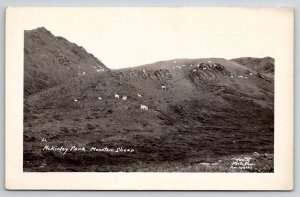 RPPC McKinley Park Mountain Sheep Alaska Hewitts Photo Shop Postcard J22