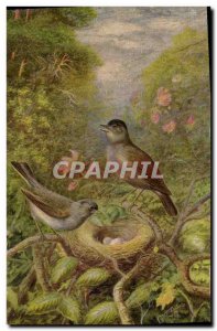 Old Postcard Blackcap