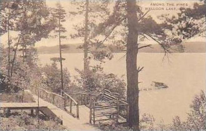 Michigan Walloon Lake Among The Pines