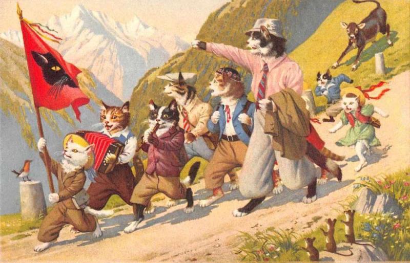 Dressed Cats Playing Instruments Walking through Mountains Postcard JD228159