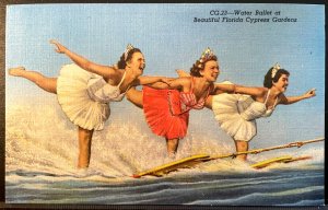 Vintage Postcard 1952 Ski Jumping, Cypress Gardens, Winter Haven, Florida (FL)