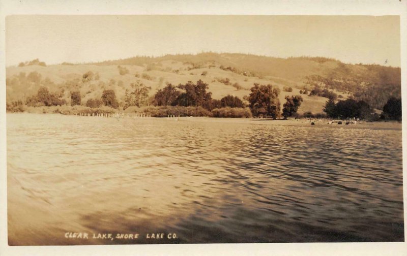RPPC Clear Lake Shore, Lake County, California ca 1910s Vintage Postcard
