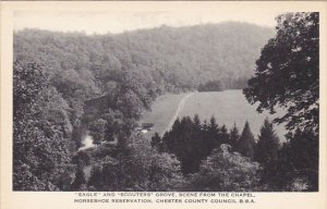 Eagle and Scouters Grove Horseshoe Reservation Chester County Council Boy Sco...