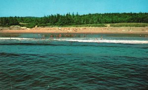 Vintage Postcard Beach Bathing Blue Waters Boardwalk Reid State Park Maine ME