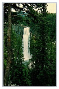 Postcard OR Salt Creek Falls Willamette Highway Vintage Standard View Card 