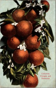 ANTIQUE  ORANGES & BLOSSOMS SAN PEDRO CALIFORNIA SARDINES ADVERTISING PC 