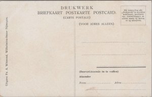 Netherlands Nijmegen Kronenburgerpark Vintage Postcard 09.69