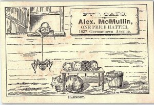 1880's Engraved Alex McMullin Furniture Cat Spider Victorian Trade Card P128