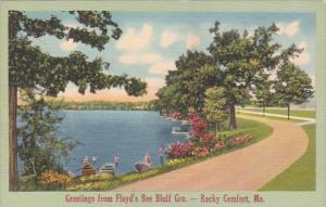 Missouri Rocky Comfort Greetings From Floyd S Bee Bluff Grocery Hippostcard