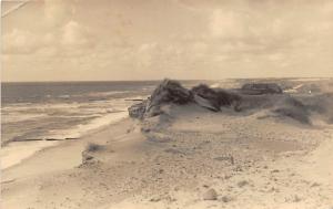 BG23795 sylt   germany CPSM 14x9cm